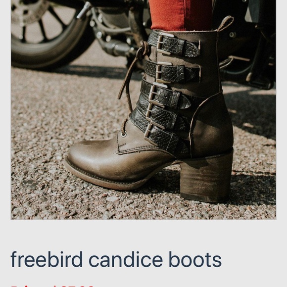 Shoes | Candice Freebird Booties | Poshmark